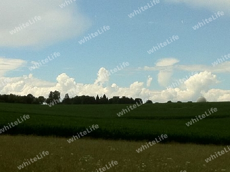 Wolke, Feld, Sommer