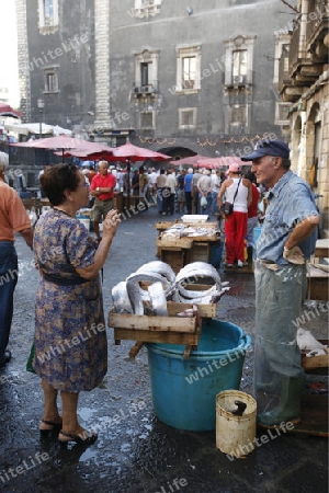 The Fishmarket in the old Town of Catania in Sicily in south Italy in Europe.