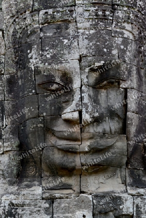 Stone Faces the Tempel Ruin of Angkor Thom in the Temple City of Angkor near the City of Siem Riep in the west of Cambodia.