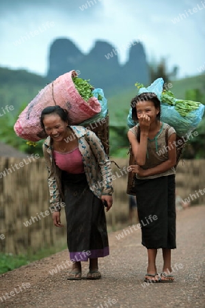 Menschen in der Landschaft in der Bergregion beim Dorf Kasi an der Nationalstrasse 13 zwischen Vang Vieng und Luang Prabang in Zentrallaos von Laos in Suedostasien.  