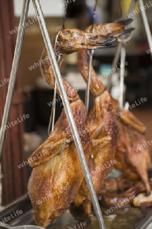 Roasted Duck