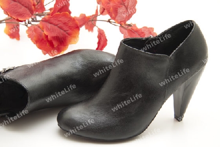 Damenschuh mit Herbstzweig