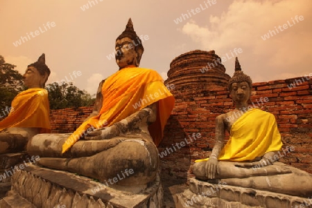 Der Wat Yai Chai Tempel in der Tempelstadt Ayutthaya noerdlich von Bangkok in Thailand.