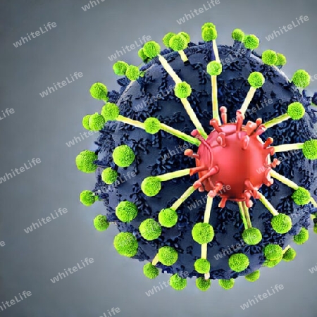 Virus