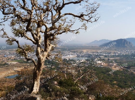 Indien,Rajasthan - Pushkar