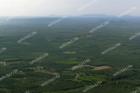 The Mountains with palmoil plantations near the City of Krabi on the Andaman Sea in the south of Thailand. 