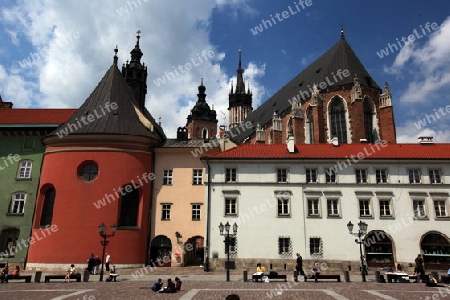 Der Maly Rynek Platz mit der Marienkirche in der Altstadt von Krakau im sueden von Polen. 