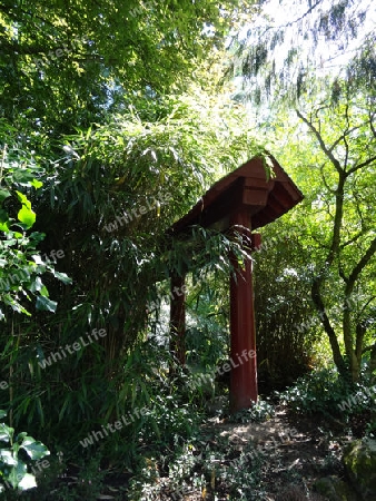 Japanische Garten - Holzdach, umgeben von Pflanzen