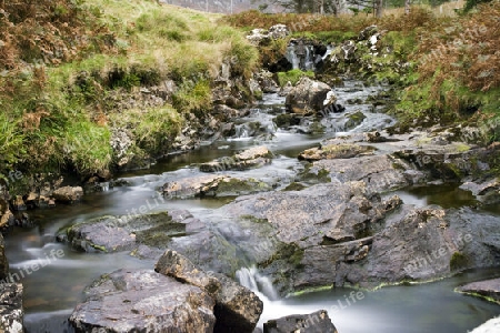 Irish nature