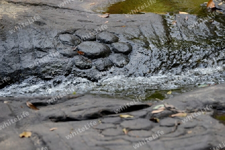 The Tempel Ruin of  Kbal Spean 50 Km northeast of in the Temple City of Angkor near the City of Siem Riep in the west of Cambodia.