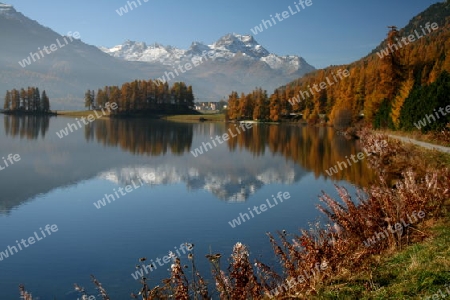 Herbsstimmung am Champfersee