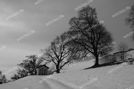 Winterlandschaft