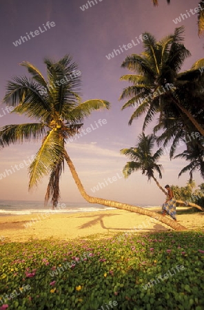 Asien, Indischer Ozean, Sri Lanka,
Ein Traumstrand beim Kuestendorf Hikkaduwa an der Suedwestkueste von Sri Lanka. (URS FLUEELER)






