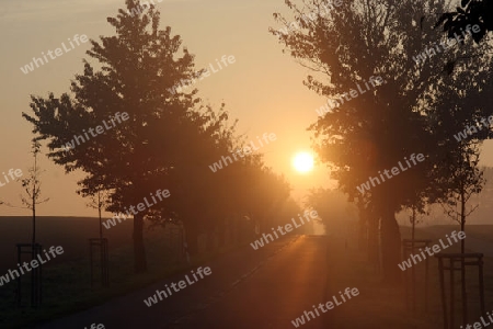 Sonnenaufgang