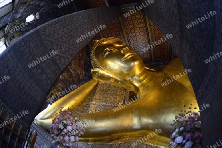 Der Grosse liegende Buddha im Wat Pho Tempel in der Stadt Bangkok in Thailand in Suedostasien.