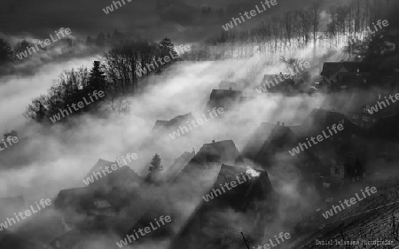 Appenzeller Vorderland im Nebel