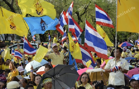 Tausende von Thailaender zelebrieren den Kroenungstag des Koenig Bhumibol auf dem Sanam Luang Park vor dem Wat Phra Kaew in der Stadt Bangkok in Thailand in Suedostasien.  