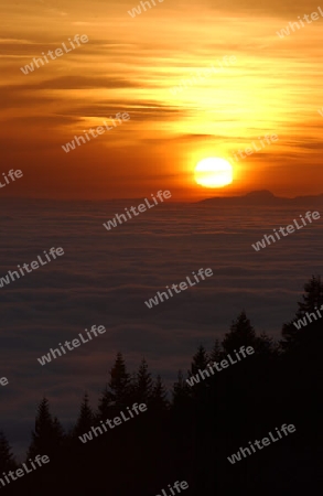 Abendstimmung Weissenstein