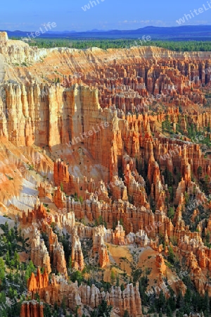 Felsformationen und Hoodoos, Bryce Canyon bei Sonnenaufgang, Bryce Point, Utah, Suedwesten, USA