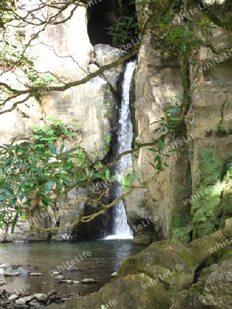 Salto do cabrito, Sao Miguel, Azoren