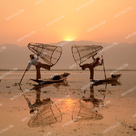 Fishermen at sunrise in the Landscape on the Inle Lake in the Shan State in the east of Myanmar in Southeastasia.