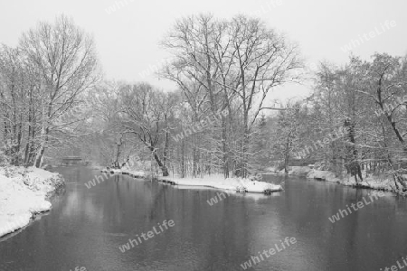 Weisse Elster im Winter