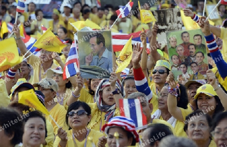 Tausende von Thailaender zelebrieren den Kroenungstag des Koenig Bhumibol auf dem Sanam Luang Park vor dem Wat Phra Kaew in der Stadt Bangkok in Thailand in Suedostasien.  