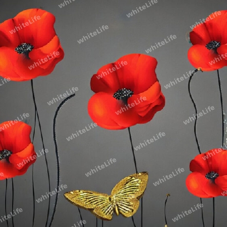 roter Klatschmohn