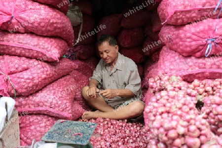 Zwibeln auf dem Pak Khlong Markt von Bangkok der Hauptstadt von Thailand in Suedostasien.