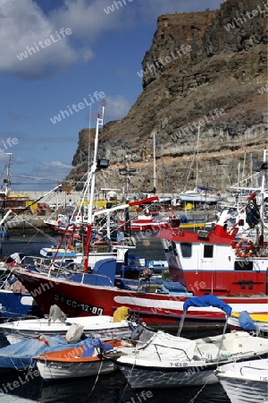 the harbour of the fishing village of  Puerto de Mogan in the south of Gran Canay on the Canary Island of Spain in the Atlantic ocean.