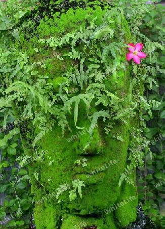 stein-skulptur