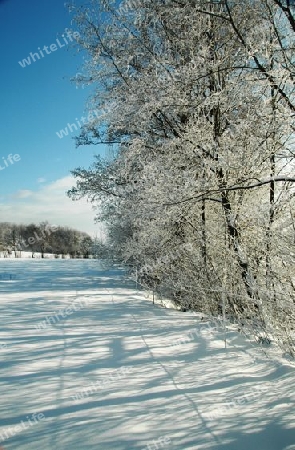 Winterliche Schattenspiele