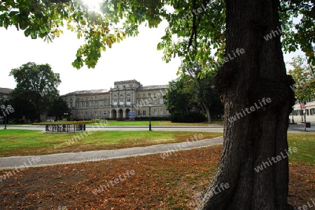 Naturkundemuseum Karlsruhe