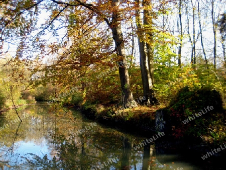 Herbst in Englischer Garten