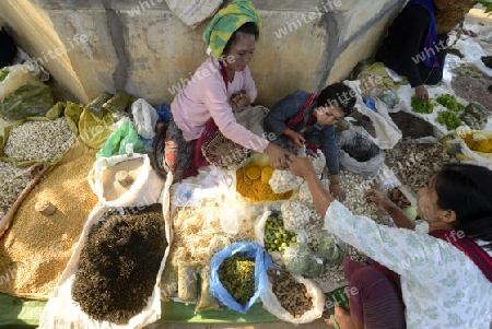 The Market in the village of Ywama at the Inle Lake in the Shan State in the east of Myanmar in Southeastasia.