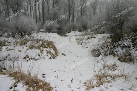 Winterstrand am Rhein