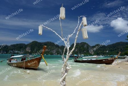 A Beach on the Island of Ko PhiPhi on Ko Phi Phi Island outside of the City of Krabi on the Andaman Sea in the south of Thailand. 