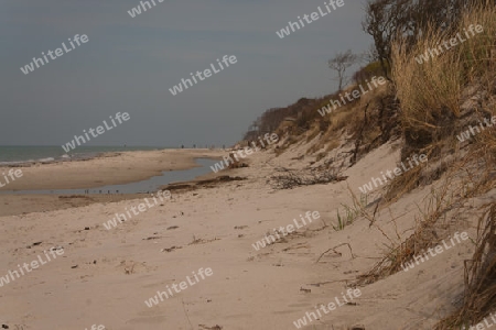 Weststrand auf dem Darss, Nationalpark Vorpommersche Boddenlandschaft, Deutschland