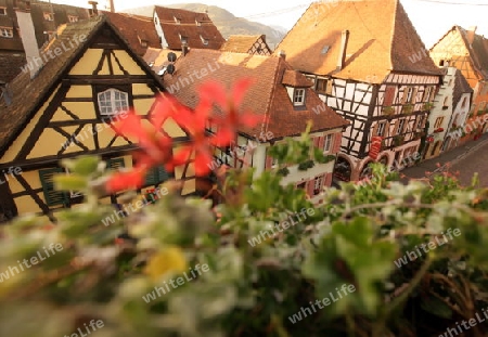  the Village of Turckheim in the province of Alsace in France in Europe