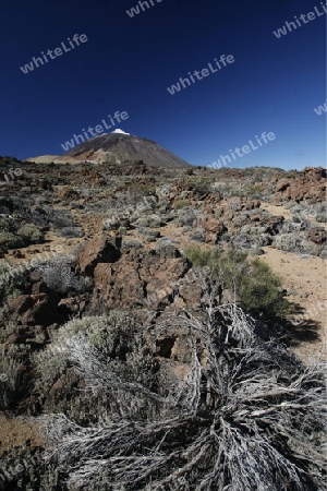 The Volcano Teide on the Island of Tenerife on the Islands of Canary Islands of Spain in the Atlantic.  