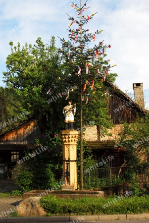 Maibaum am Dorfbrunnen