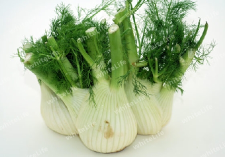 Fenchel