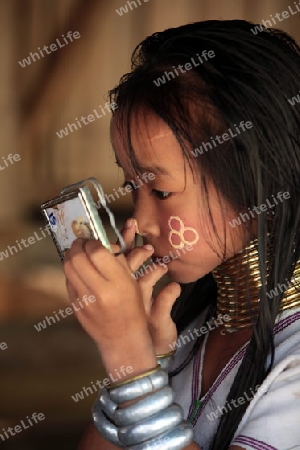 Eine Traditionell gekleidete Langhals Frau eines Paudang Stammes aus Burma lebt in einem Dorf noerdlich von Chiang Mai in Nord Thailand. 