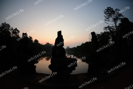 The Bridge at the Angkor Tom Gate in the Temple City of Angkor near the City of Siem Riep in the west of Cambodia.