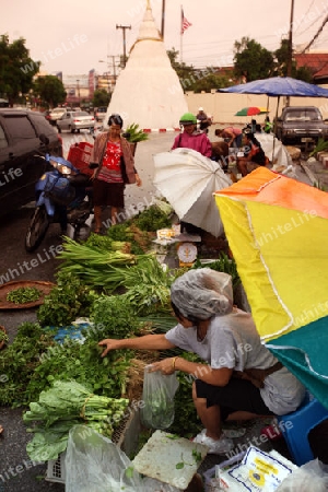 Gemuese auf dem Talat Warorot Markt in Chiang Mai in der Provinz Chiang Mai im Norden von Thailand in Suedostasien.