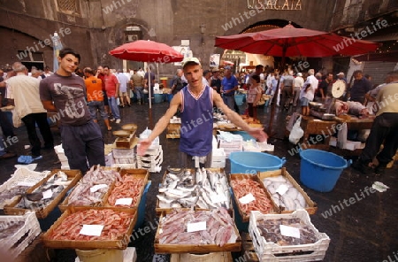 The Fishmarket in the old Town of Catania in Sicily in south Italy in Europe.