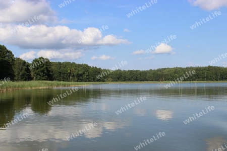 Stille Natur, Masurische Seenplatte