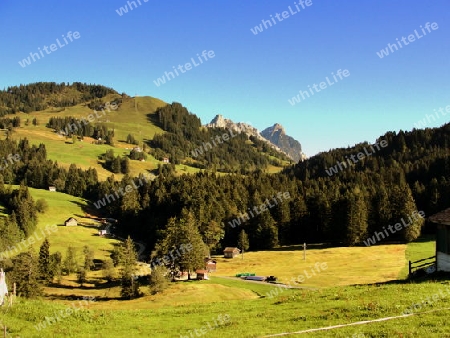 Ausblick vom Mostelberg