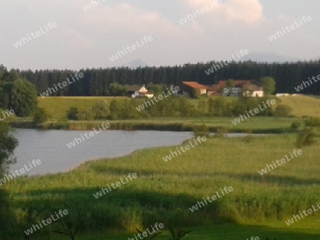 Landschaft am Pelhamer See 2