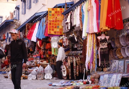 Der Alltag in Sidi Bou Said noerdlich von Tunis der Hauptstadt von Tunesien in Nordafrika. 